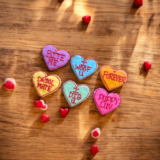 Large Conversation heart dog treats