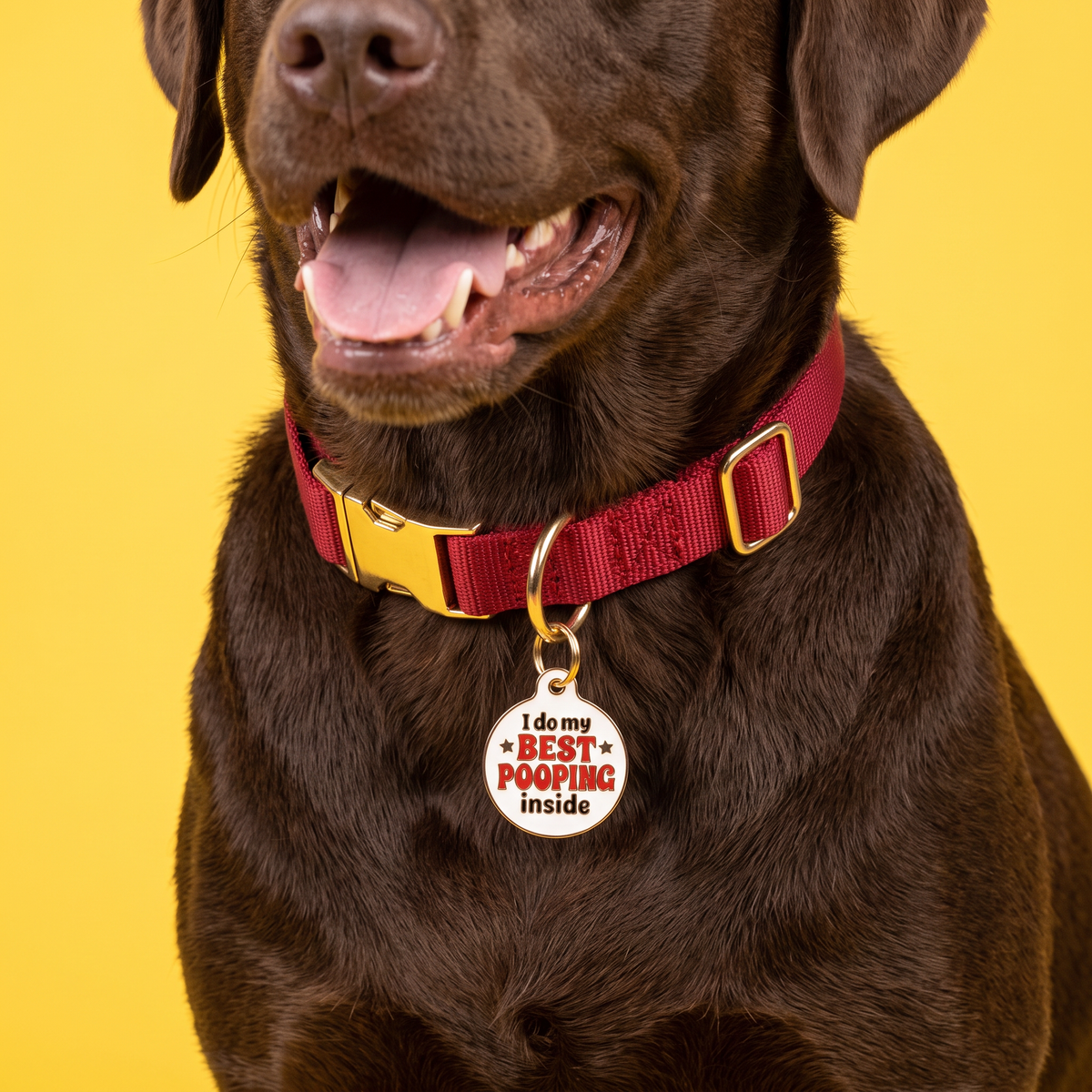 Funny Dog Tag Charm & Pet ID Tag - Best Pooping Inside