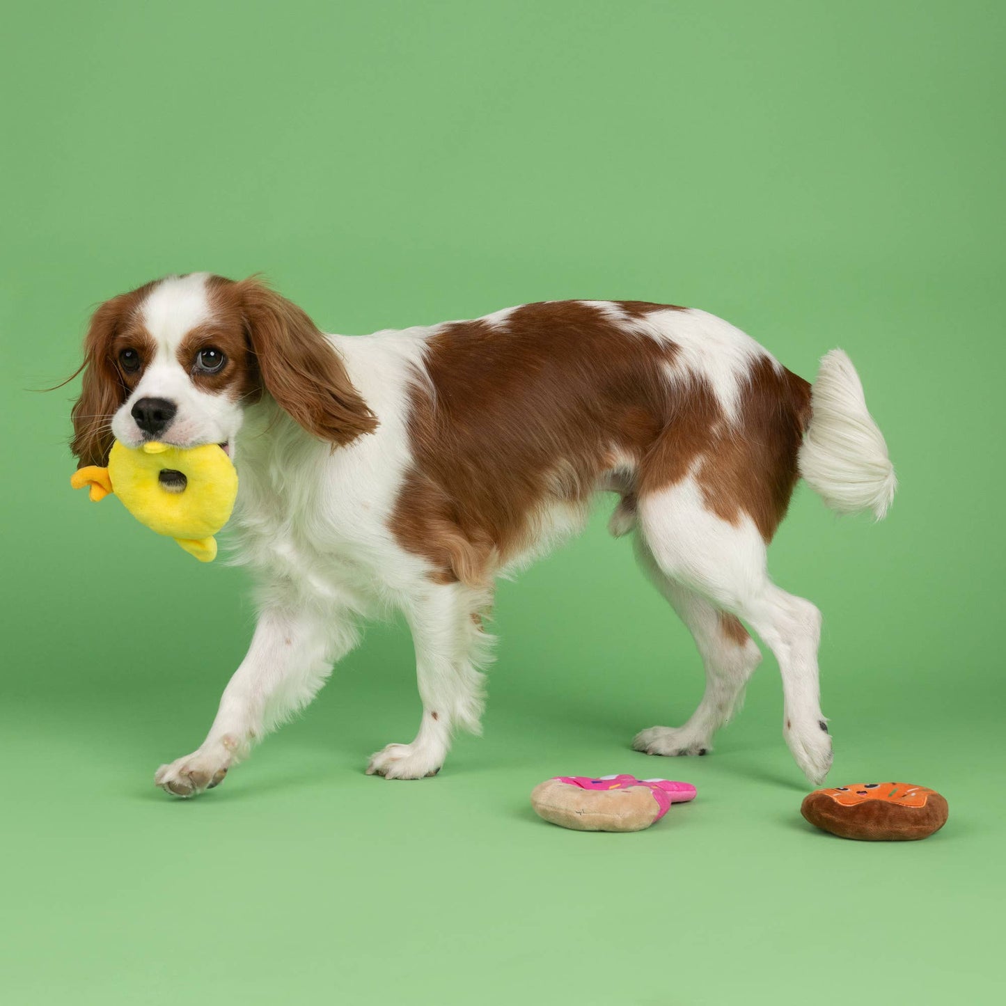 HOLEY DONUTS 3PCS SMALL DOG TOY SET