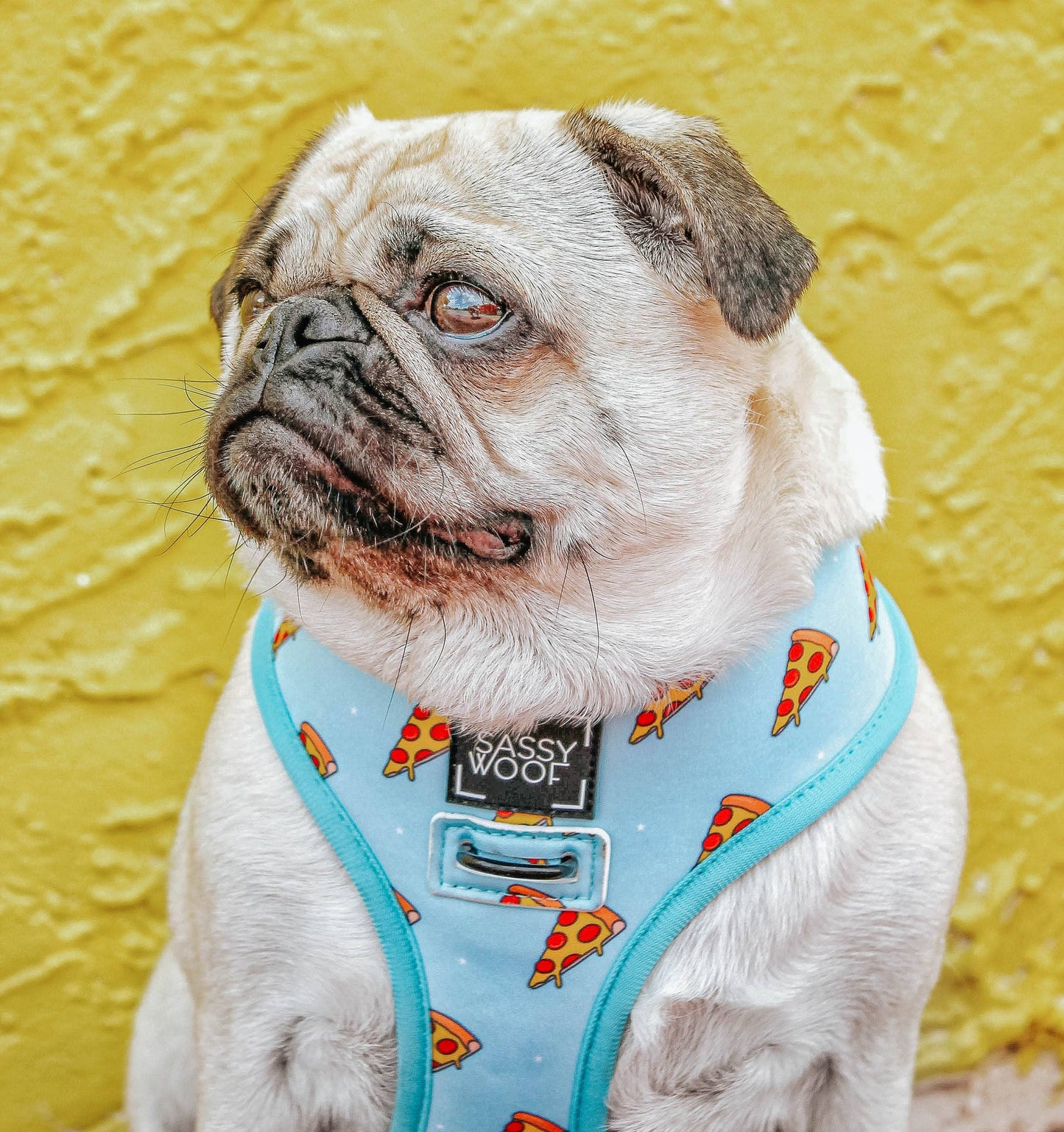 Dog Reversible Harness - One Hot Pupperoni