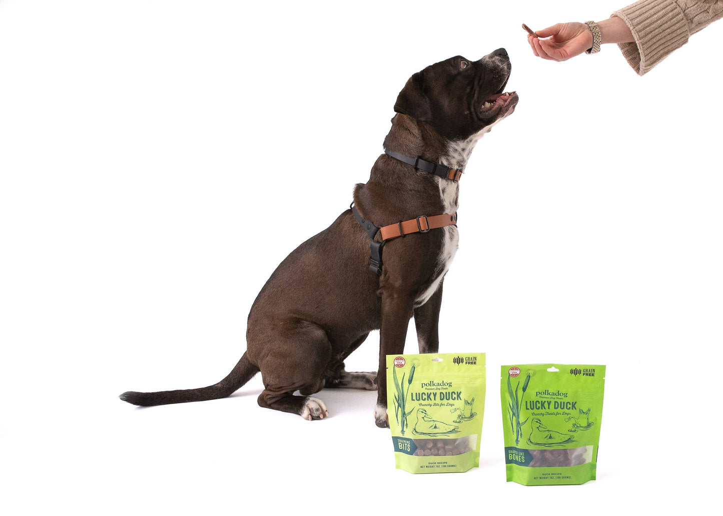 Lucky Duck Bones - 7oz - Dog Treats