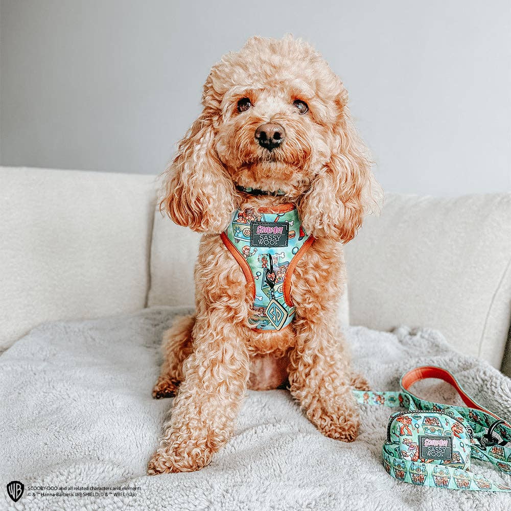 Dog Adjustable Harness - Scooby-Doo™