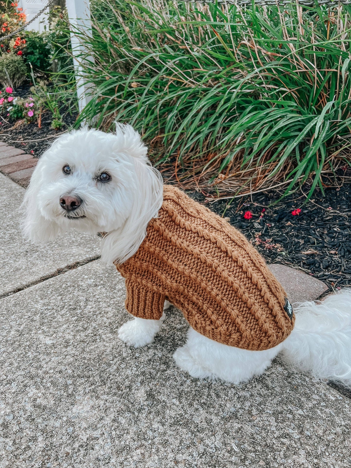 Pet Cable Knit Sweater - Brown