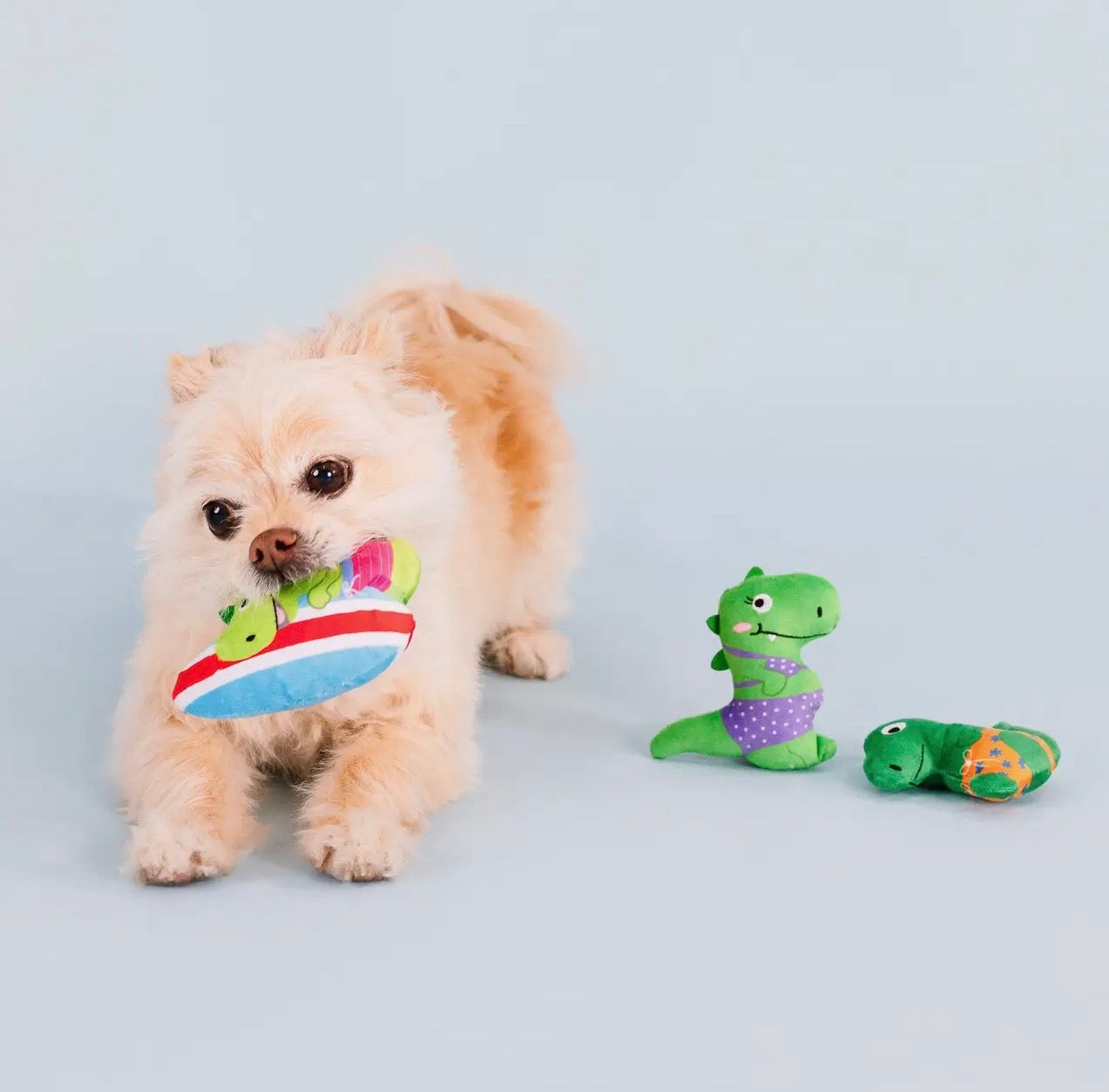 Rawrin Sumer 3 Piece Small Dog Toy Set