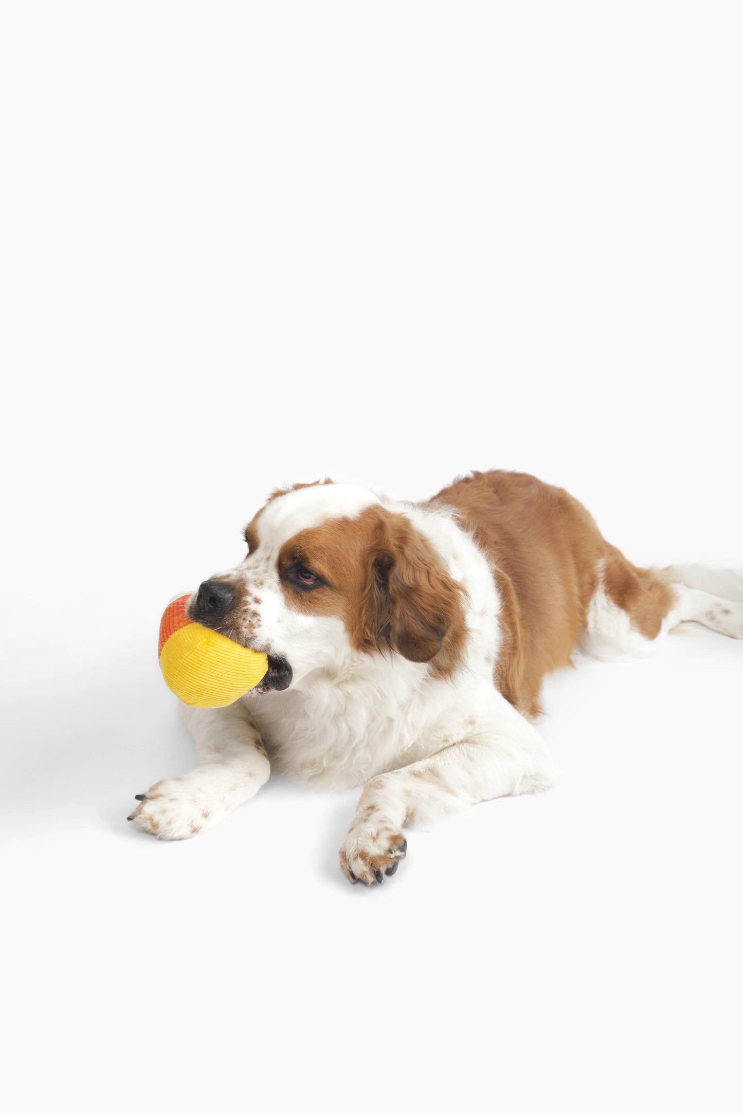 Midlee Plush Candy Corn Dog Toy- Set of 2
