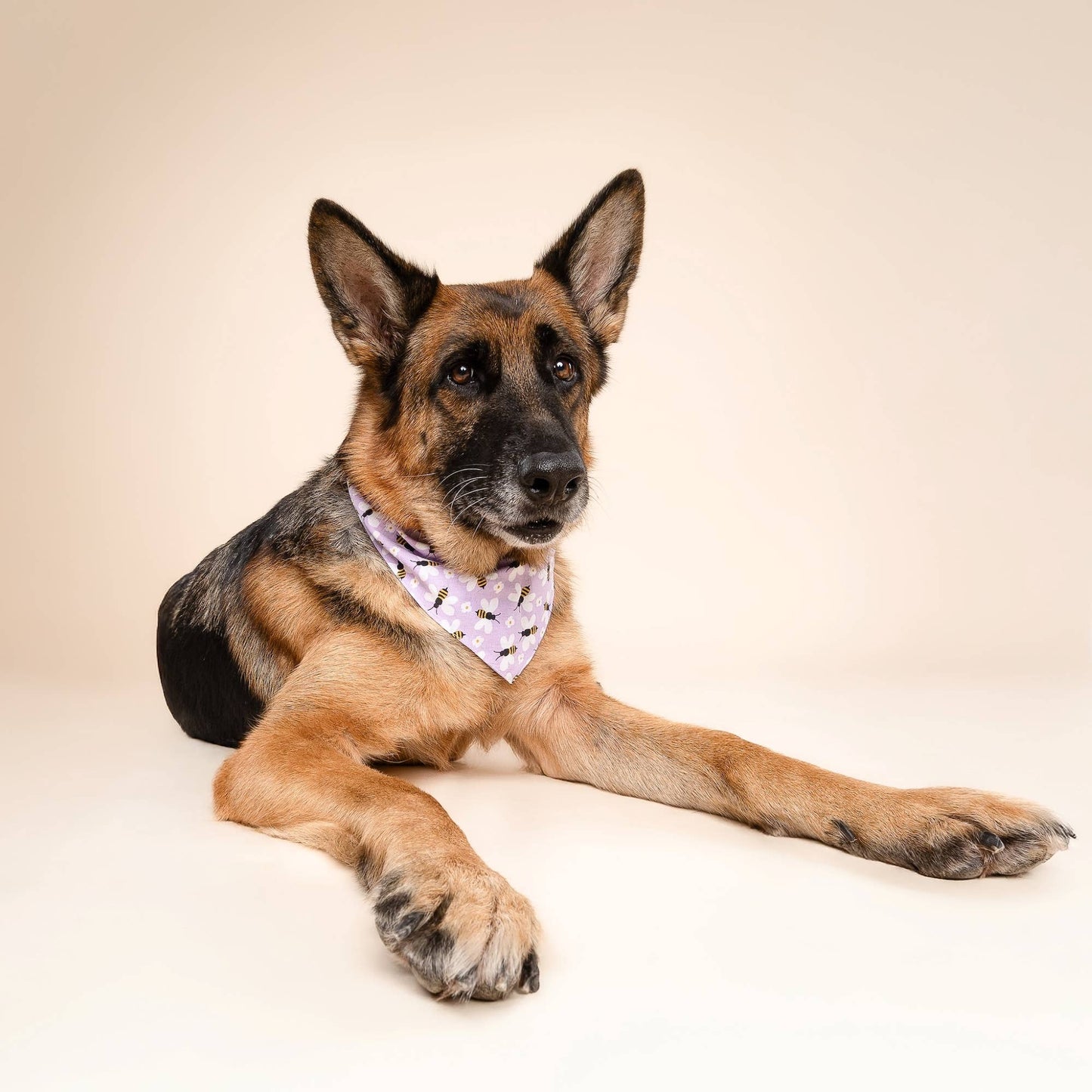 Honey Bees Dog Bandana
