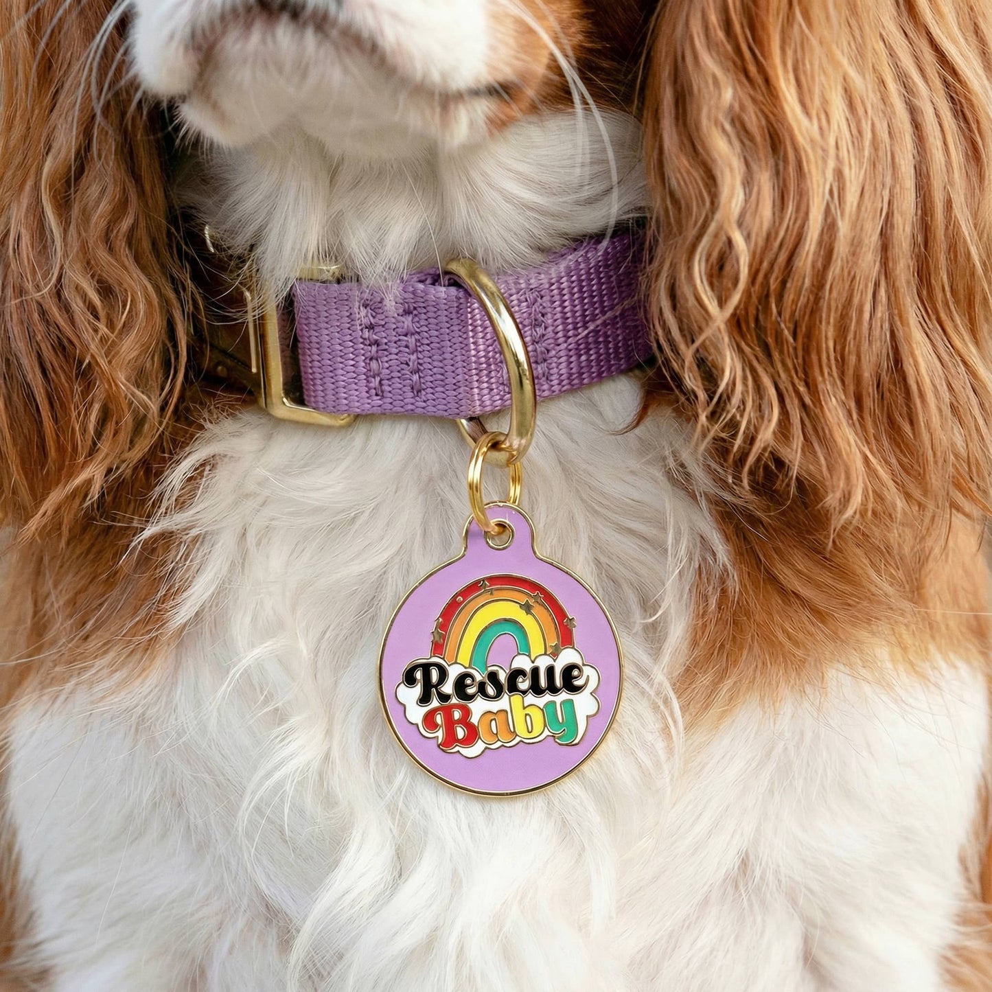 Pet ID Tag  - Rescue Baby *Purple - QR CODE