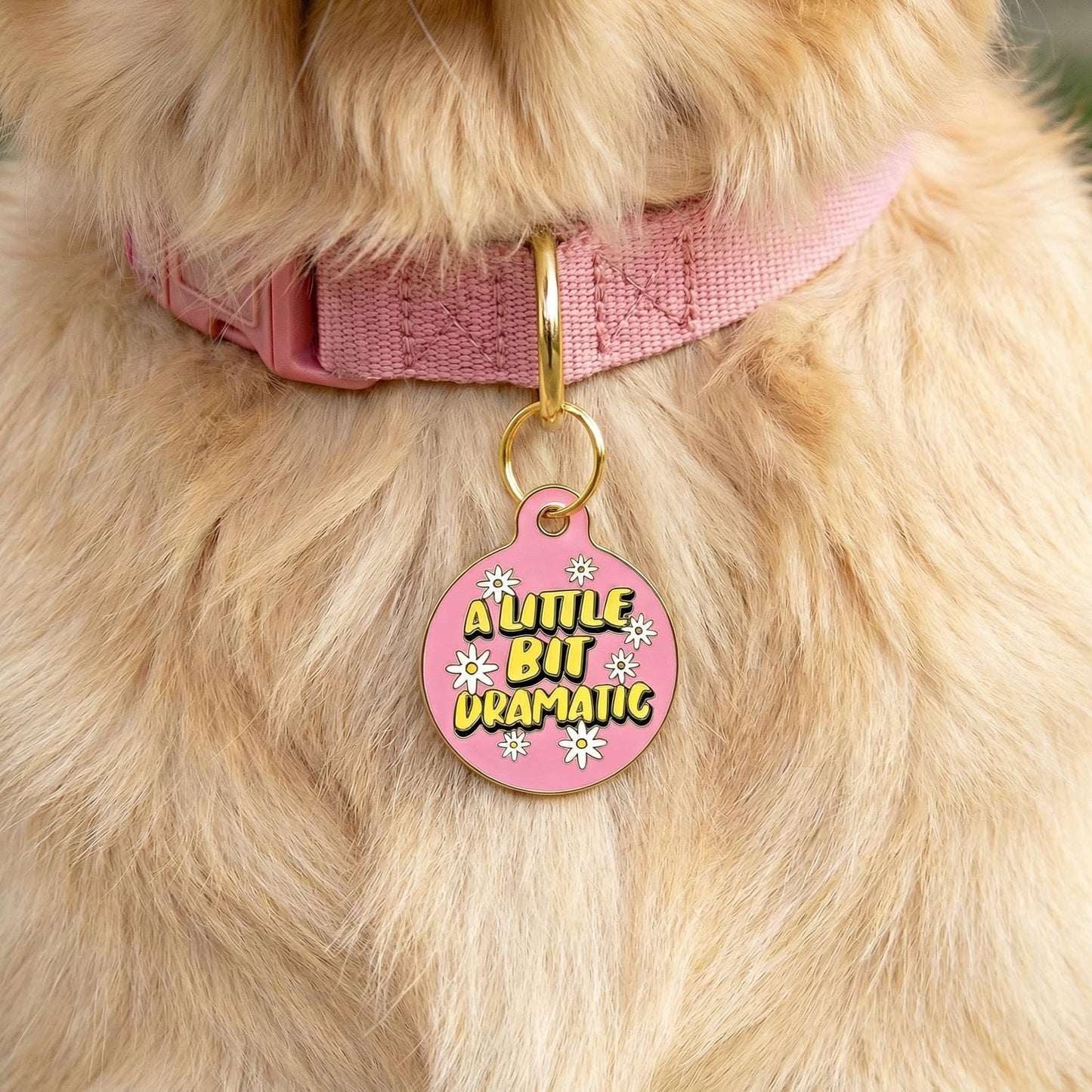 Funny Dog Charm & Pet ID Tag - A Little Bit Dramatic
