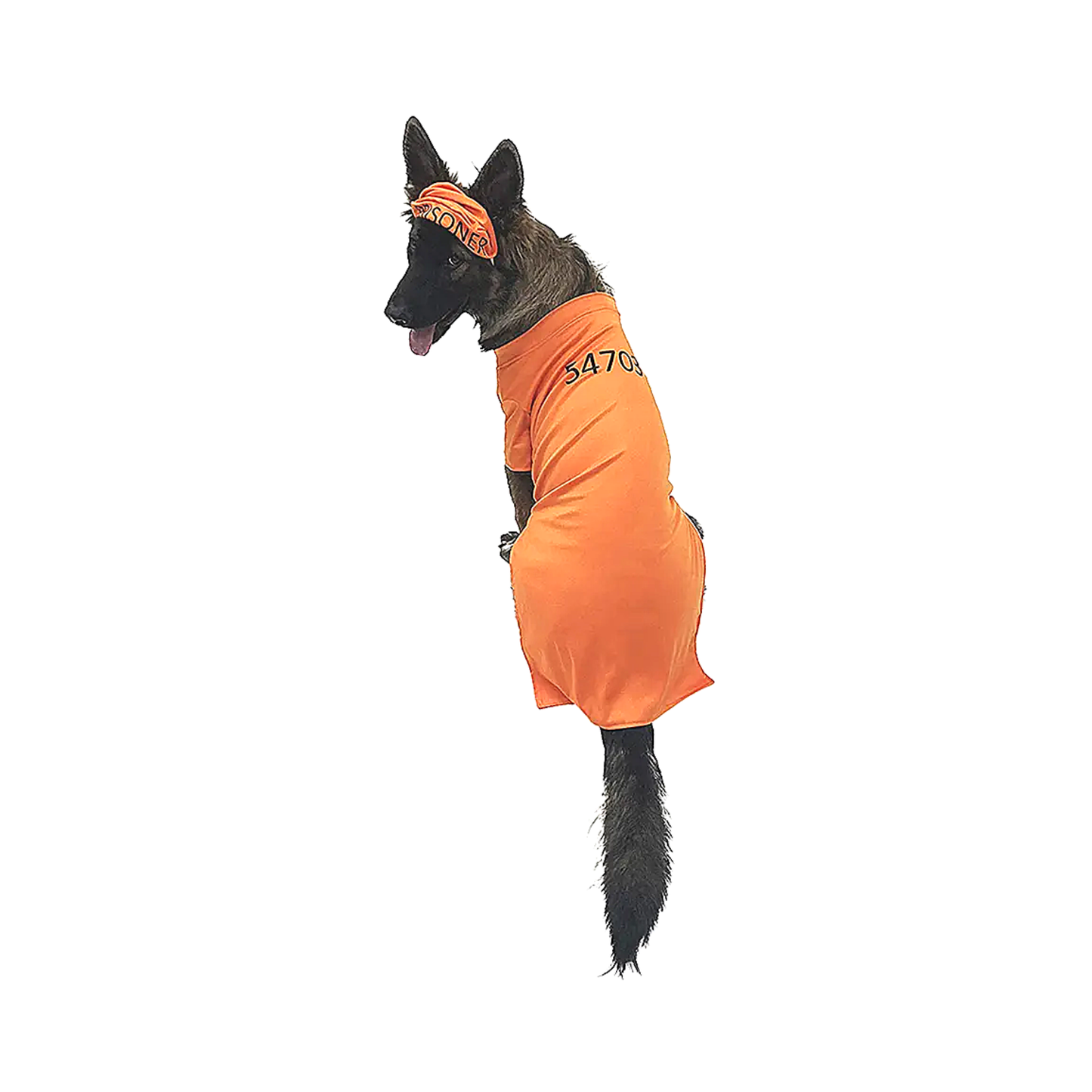Orange Prisoner Dog Costume