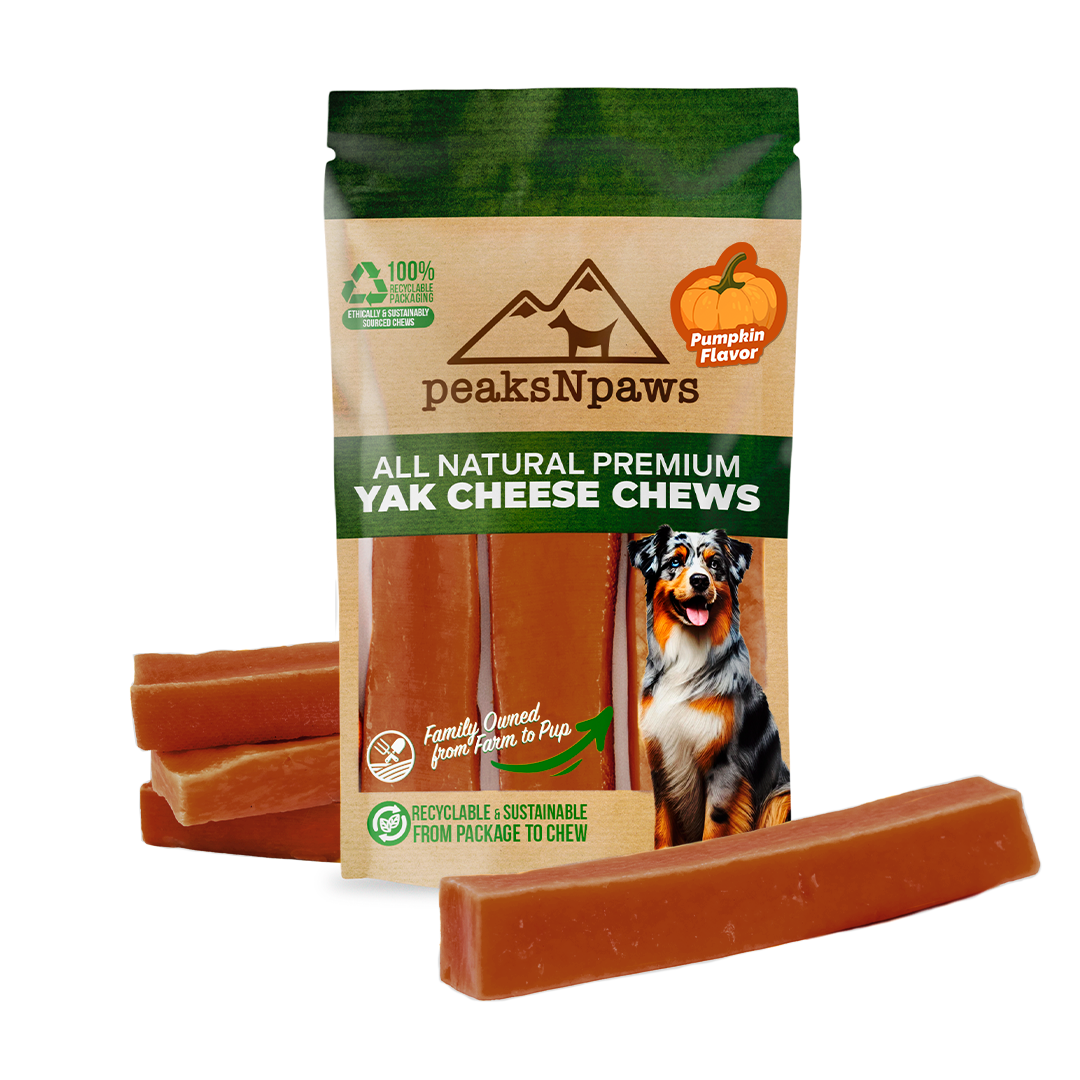 Pumpkin Yak Milk Chews - Large Sized