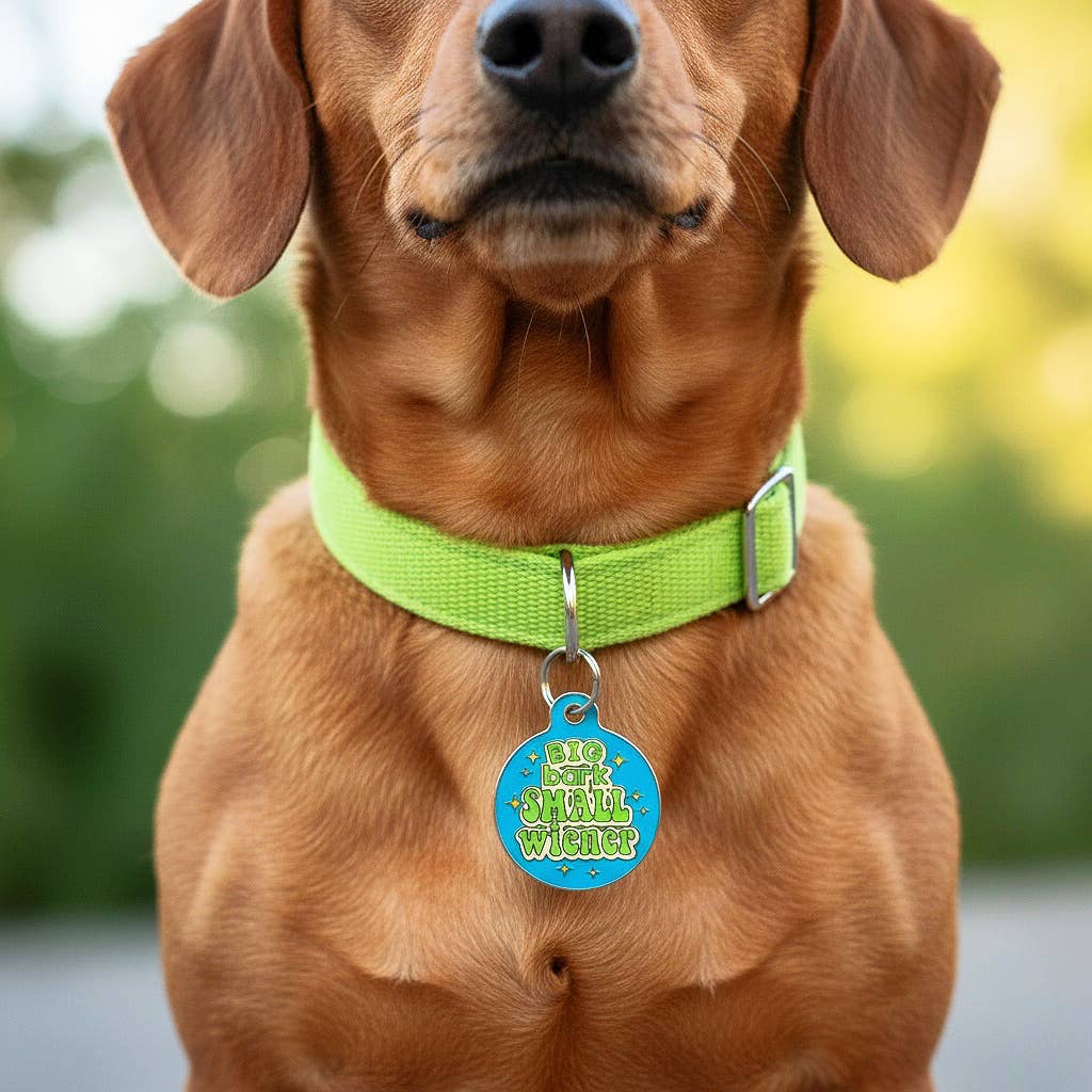 Funny Dog ID Tag Scannable QR Code - Big Bark Small Wiener