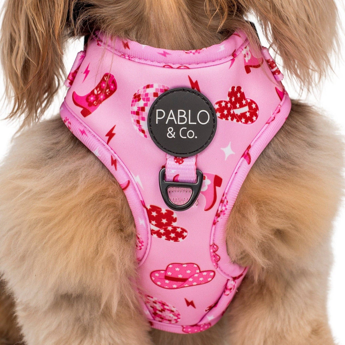 Disco Cowgirl: Adjustable Dog Harness