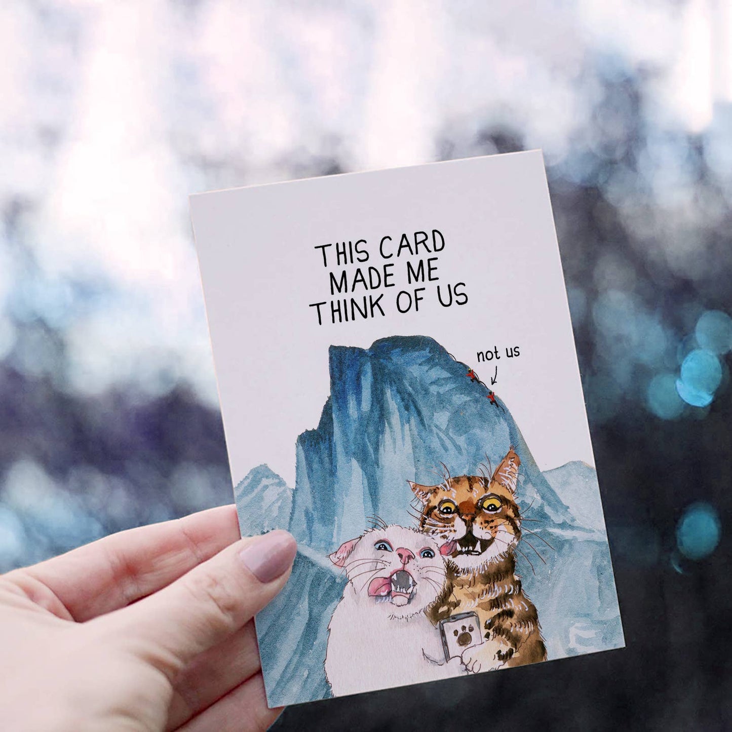 Cats Couple Adventure Funny Anniversary Card