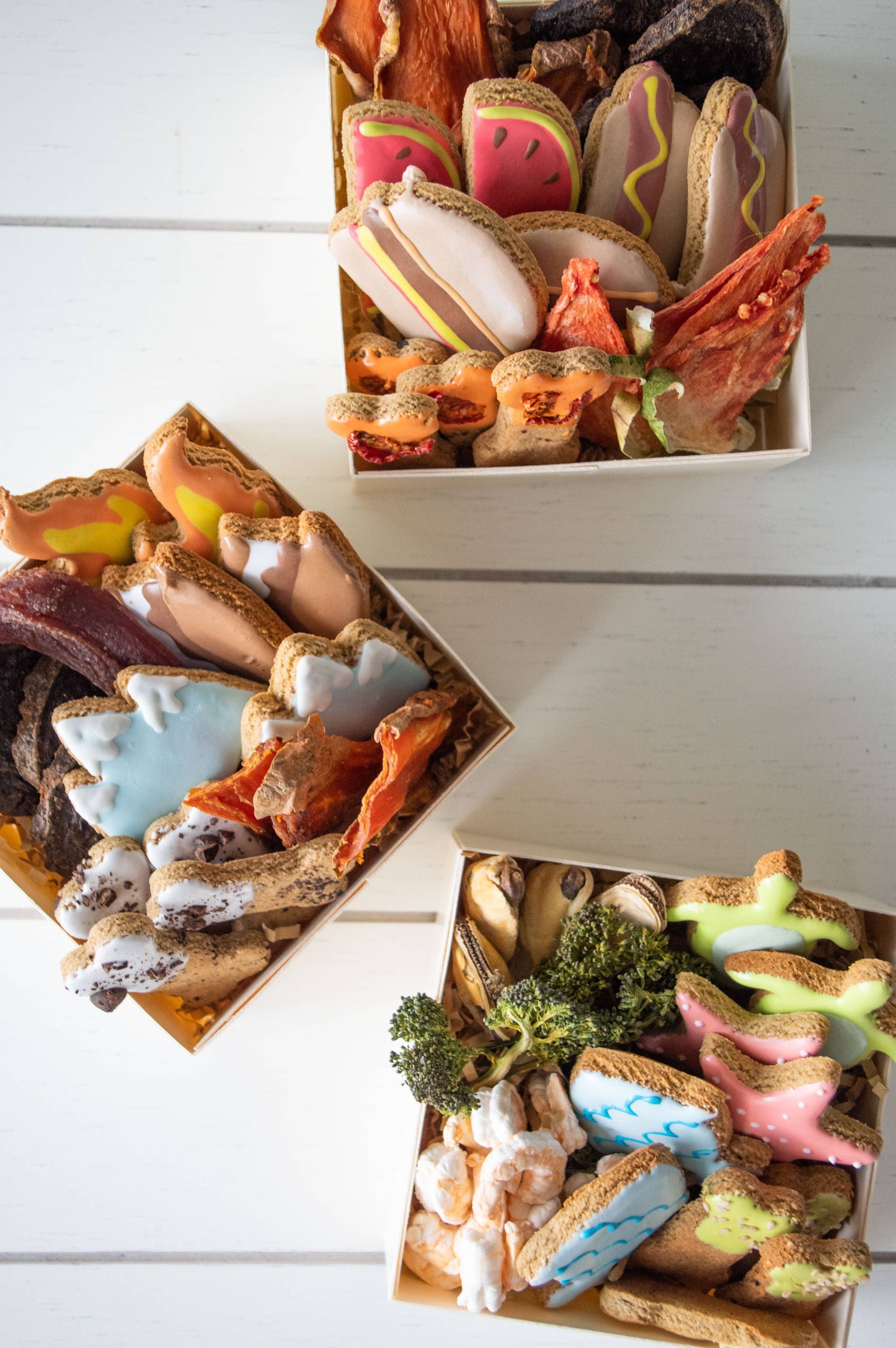 Around the Campfire Barkley Box - Barkuterie Box for Dogs