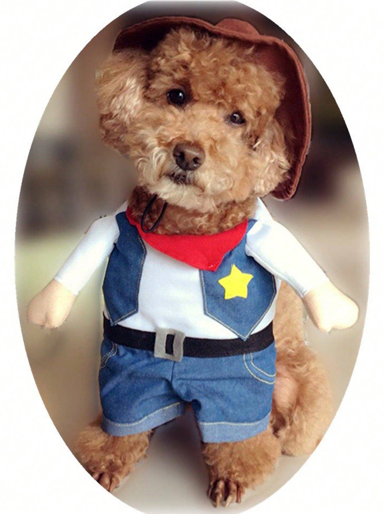 Halloween Funny Pet Costume, Cowboy Standing Outfit, Pet Transformation Dress, Dog Cat Quirky Upright Clothing, Pet Photo Props, Pet Cosplay Costume, Halloween Party Outfit