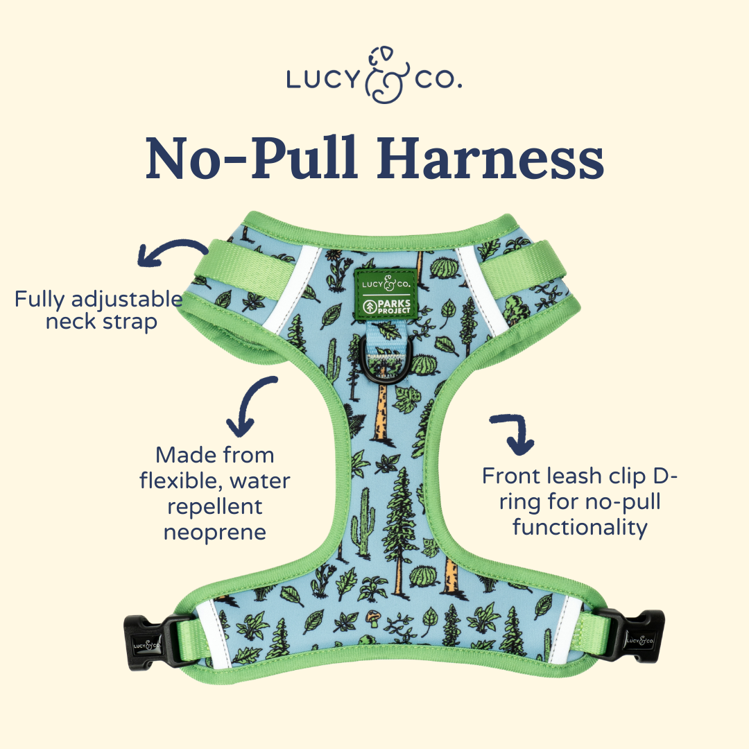 Lucy & Co. x Parks Project Feel the Earth Breathe No-Pull Harness