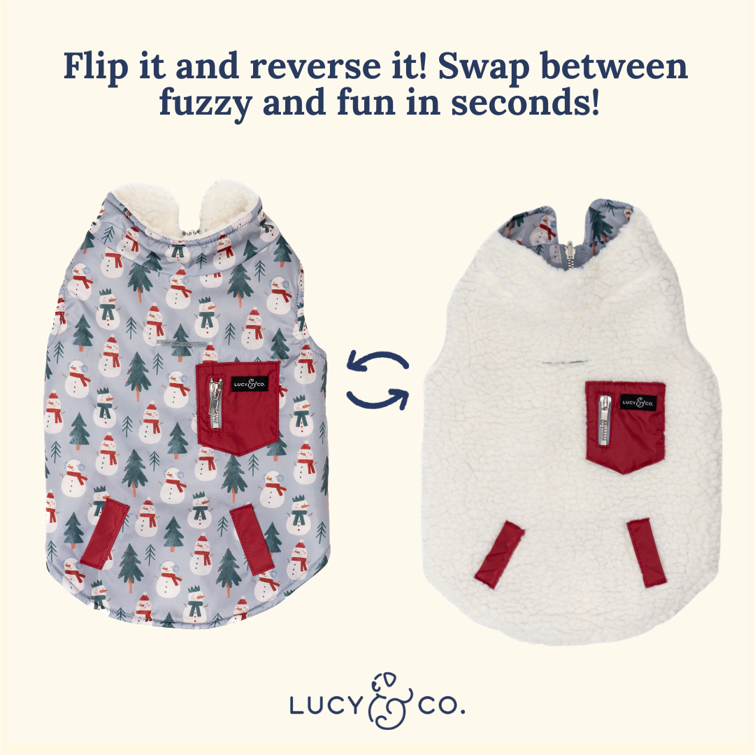 Snow Much Fun Reversible Teddy Vest