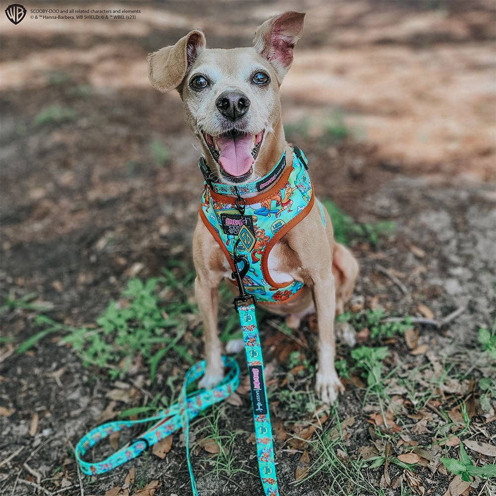 Dog Adjustable Harness - Scooby-Doo™