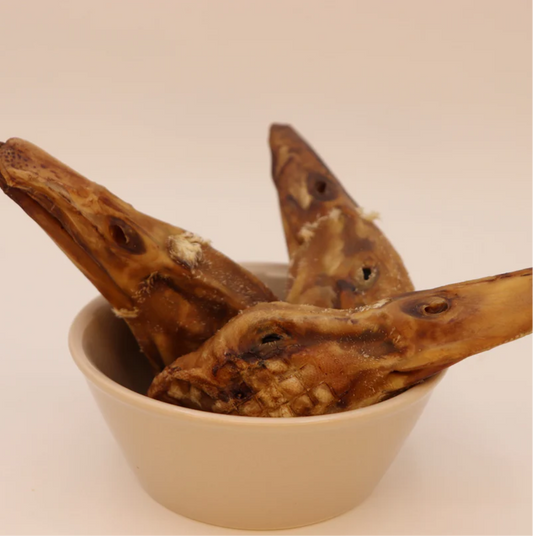 Duck Head