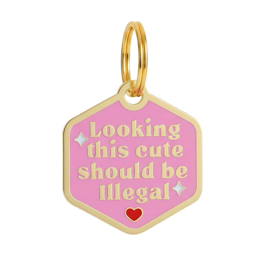 Gold Enamel Dog Tag w/ Scannable ID - Looking This Cute