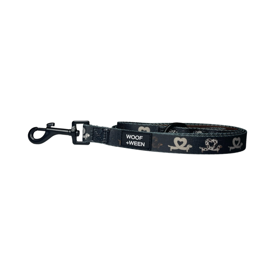 Leash - I HEART DACHSHUNDS