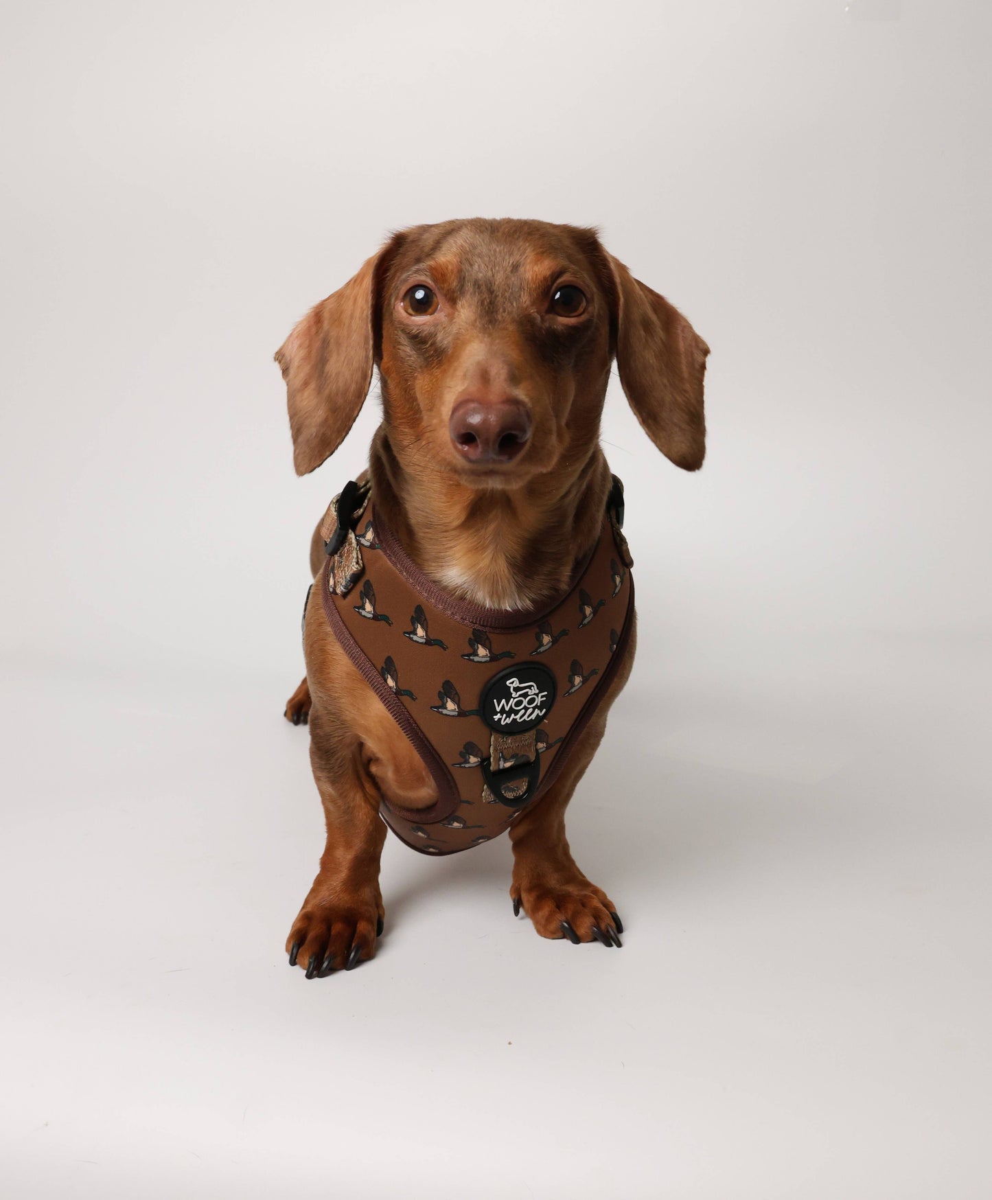 Adjustable Dog Harness - DUCK HUNTING DOG