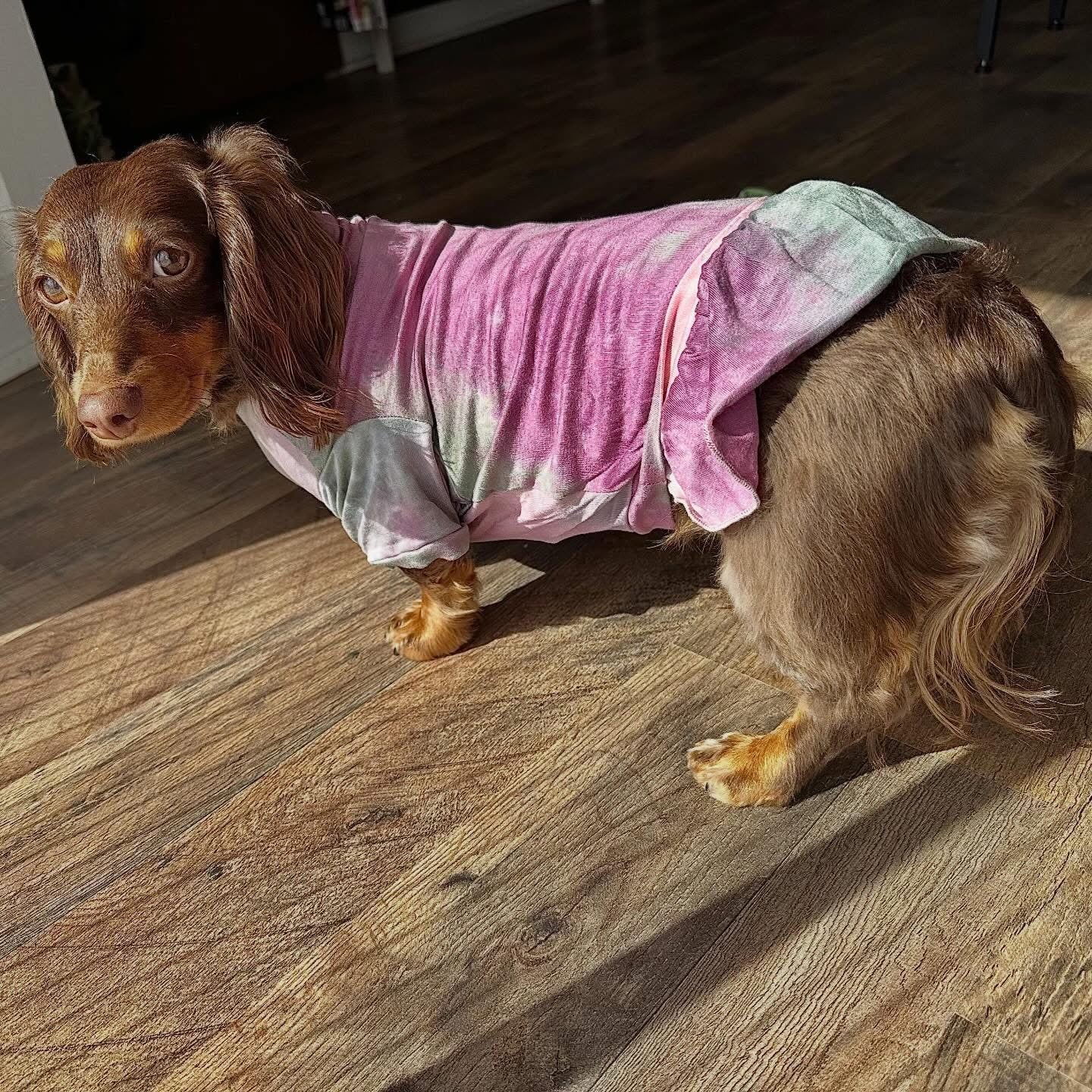 Hand Tie Dye Doggy Dress/Tee - Magenta/Sage