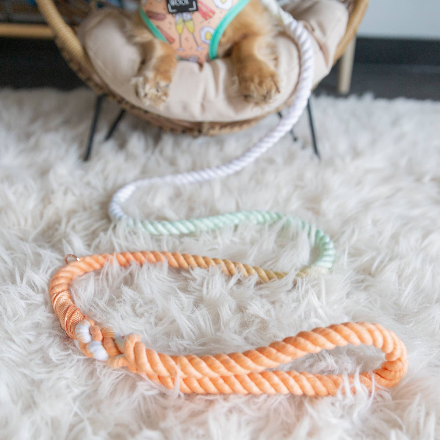Dog Rope Leash - Honeydew