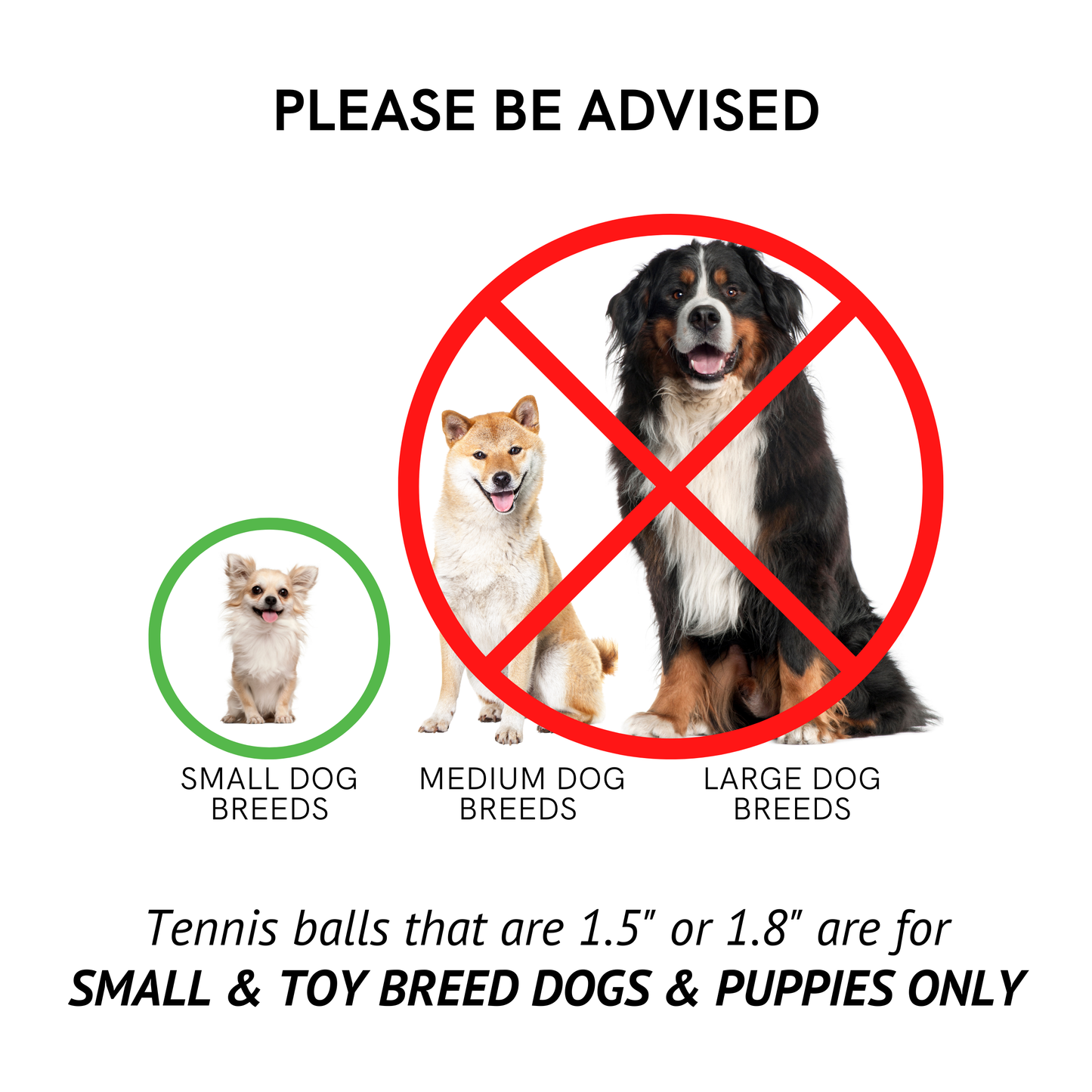 Midlee Mini Dog Tennis Balls Bulk 25-Pack (Assorted Colors)