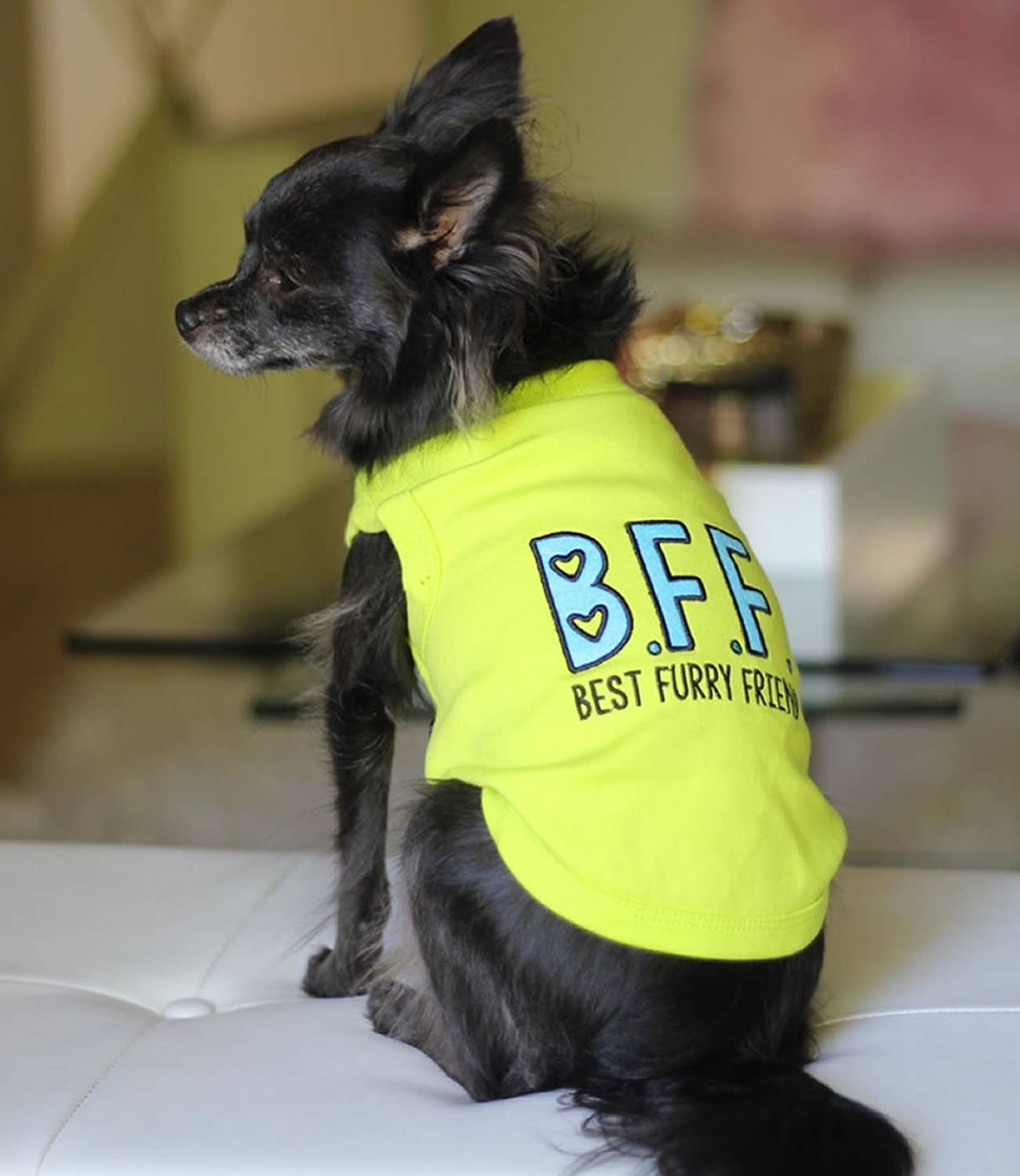 BFF Dog T-Shirt – Best Friends Tee for Dogs