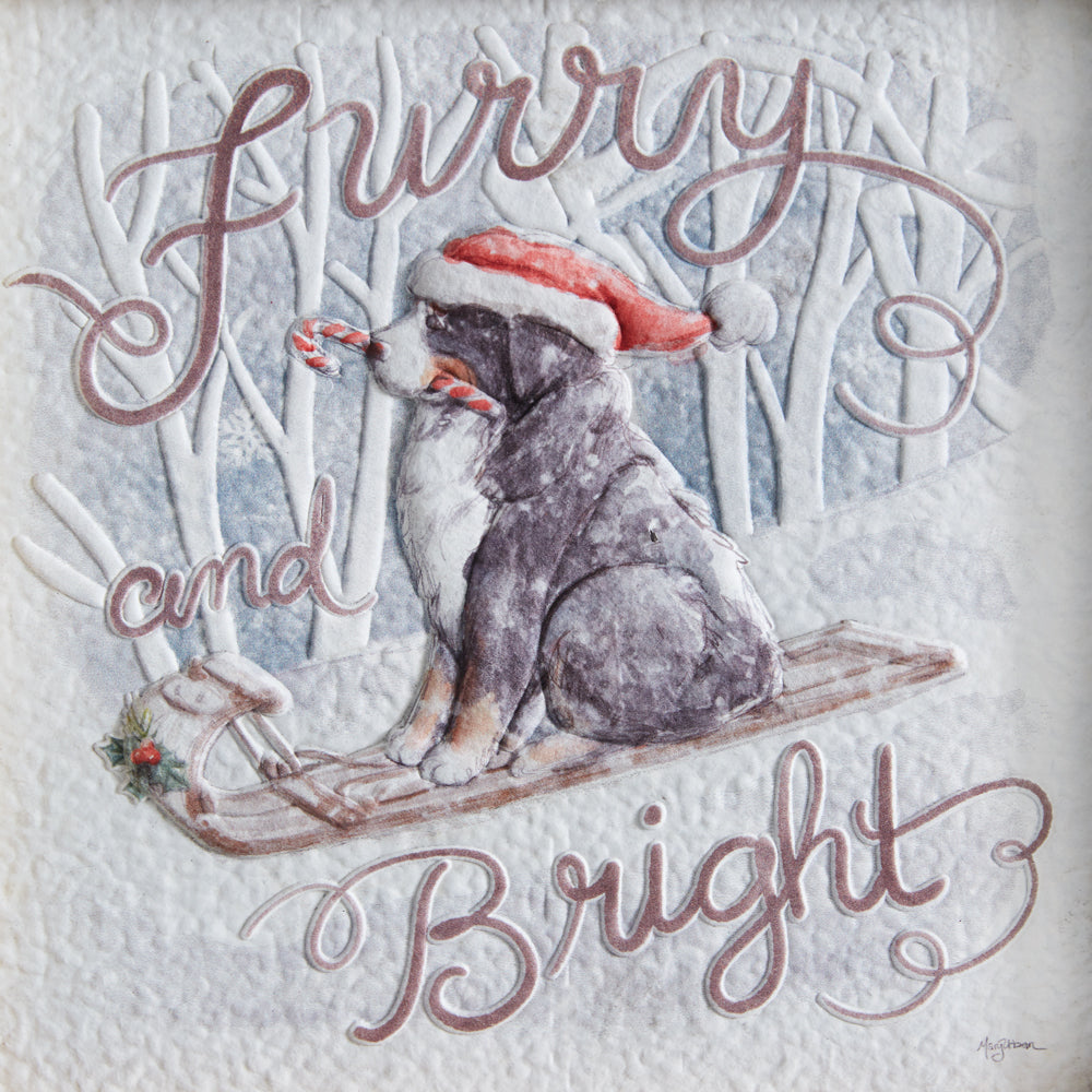 Furry and Bright Wall
Art