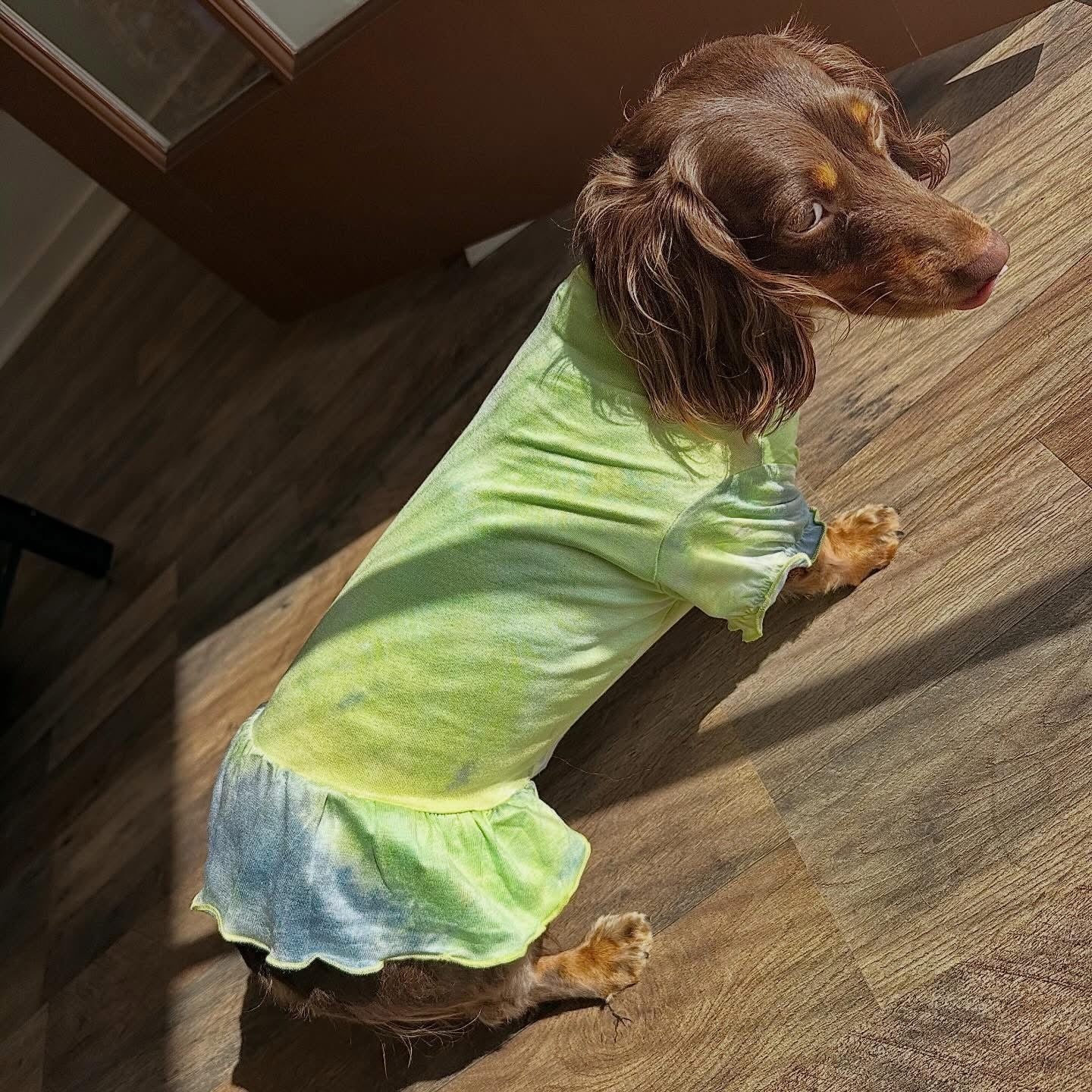 Hand Tie Die Doggy Dress/Tee - Lemon/Lilac