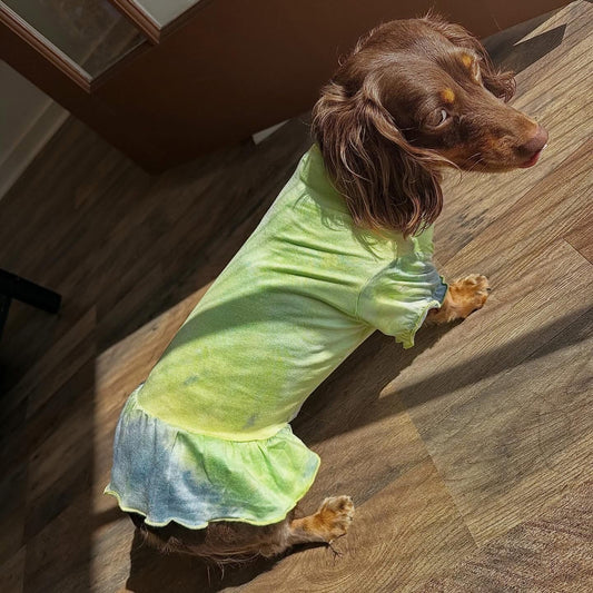 Hand Tie Die Doggy Dress/Tee - Lemon/Lilac
