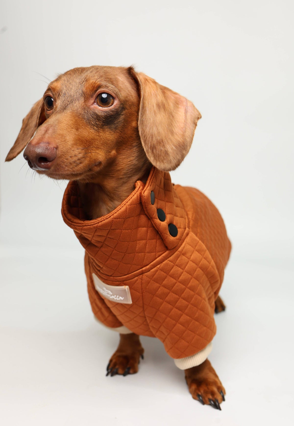 Dachshund Sweater - Rust Quilted Turtleneck Sweater