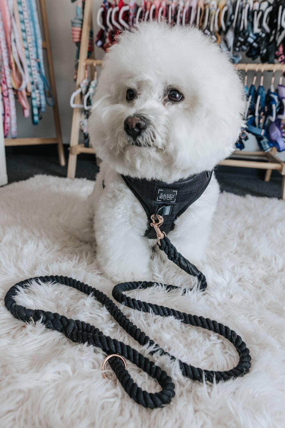 Dog Adjustable Harness - Baby Got Black