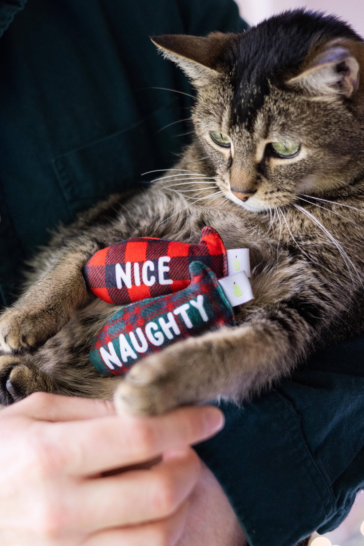 Christmas Naughty & Nice Cat Toys, Set of 2, Holiday Gift