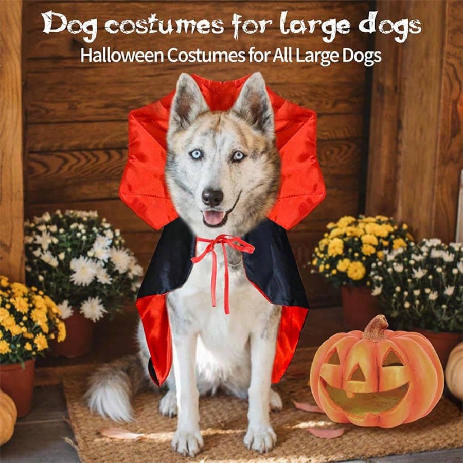 1pc Adjustable Halloween Pet Cat And Dog Cloak Costume