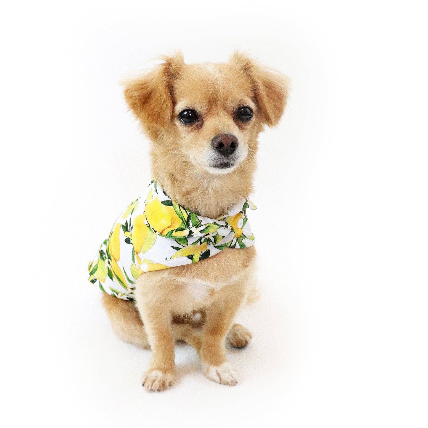 Lemon Cooling Jacket