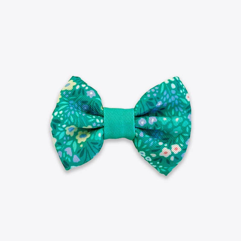 Dog Bow Tie: Notting Hill Mint