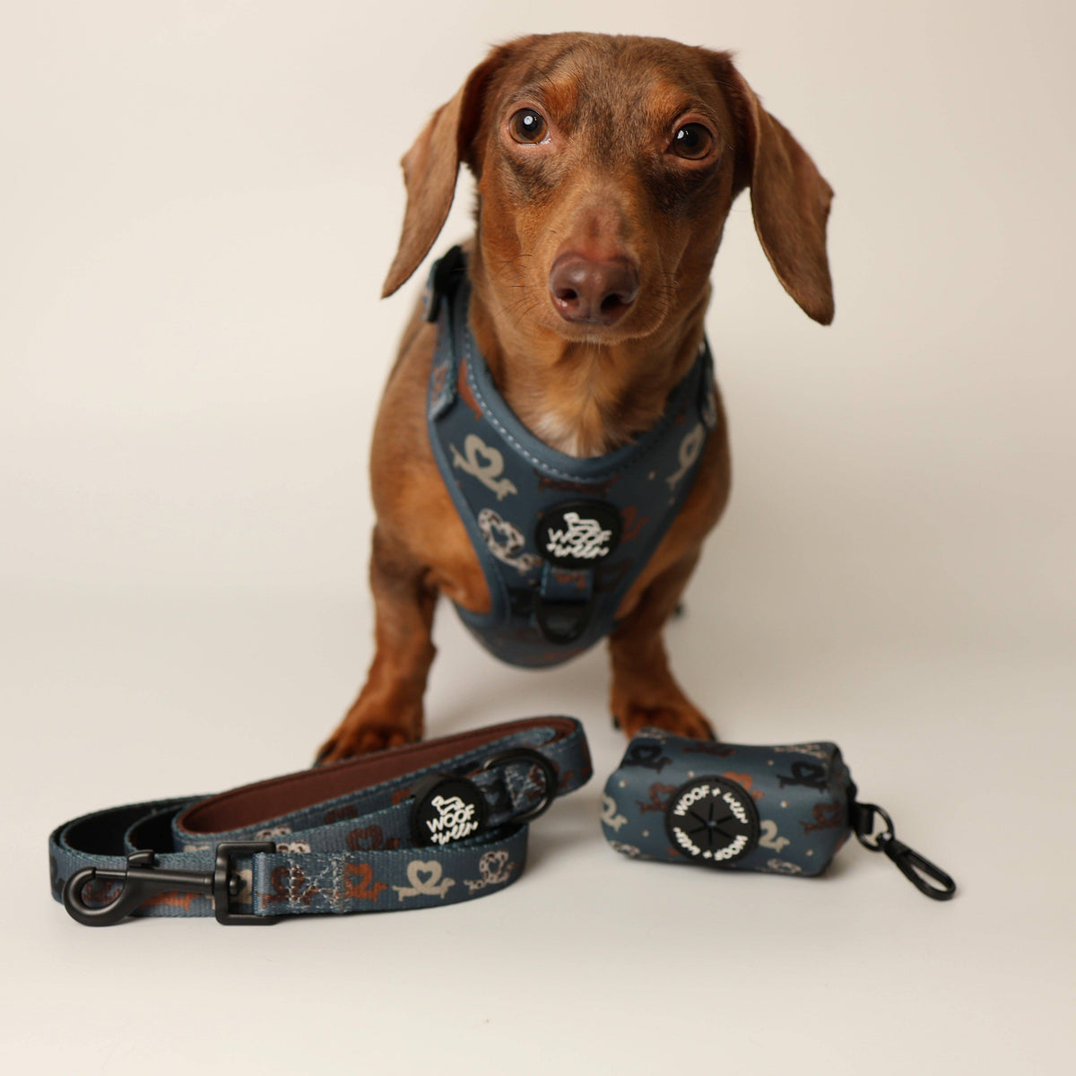Dachshund Adjustable Harness - I HEART DACHSHUNDS