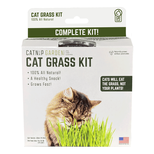 Catnip Garden Cat Grass Kit