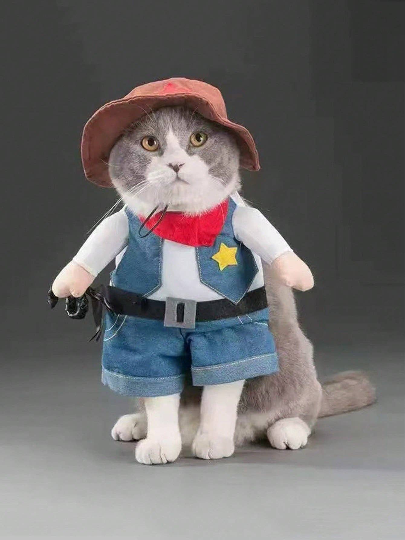Halloween Funny Pet Costume, Cowboy Standing Outfit, Pet Transformation Dress, Dog Cat Quirky Upright Clothing, Pet Photo Props, Pet Cosplay Costume, Halloween Party Outfit