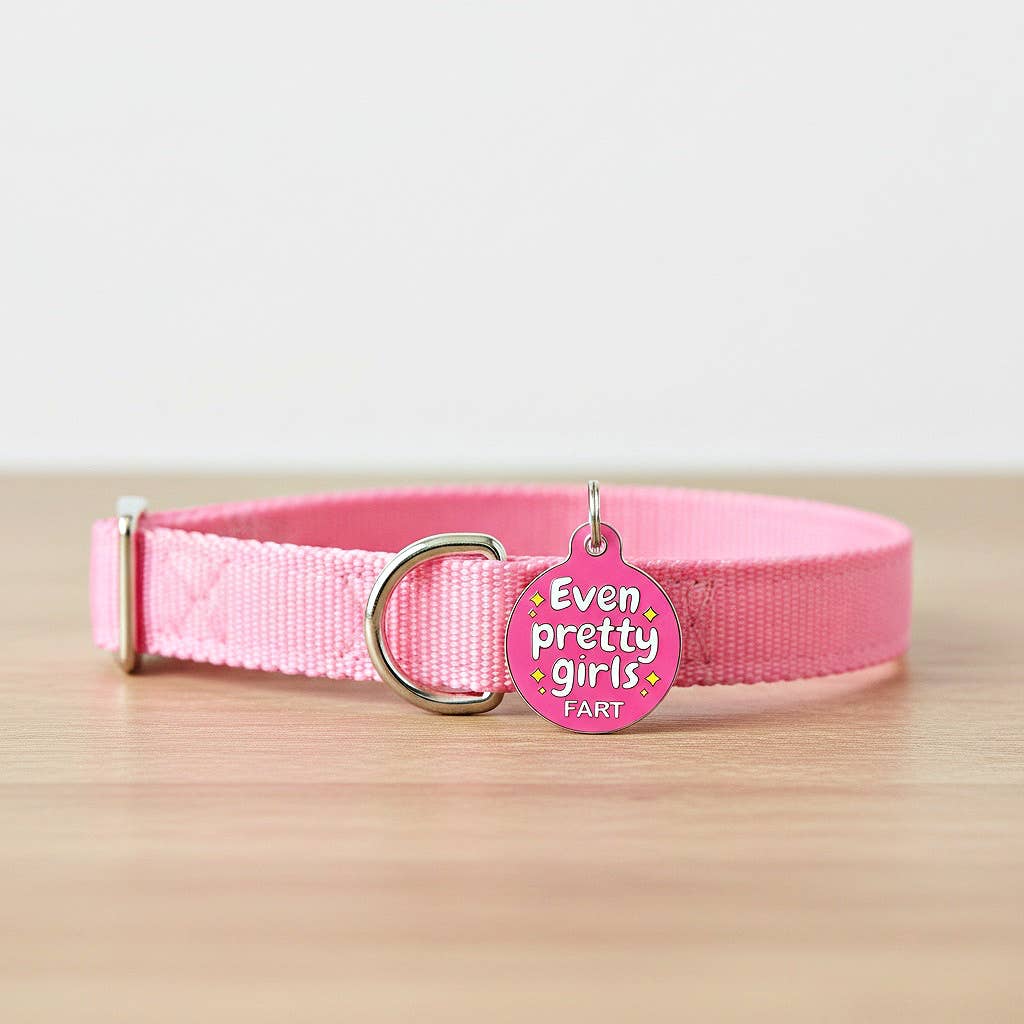 Funny Dog Collar Charm Pet ID Tag - Even Pretty Girls Fart