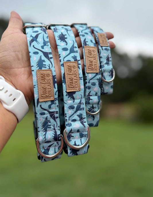 Blue Dinosaurs Dog Collar, T-rex Collar, Dinos, Dixie Lane