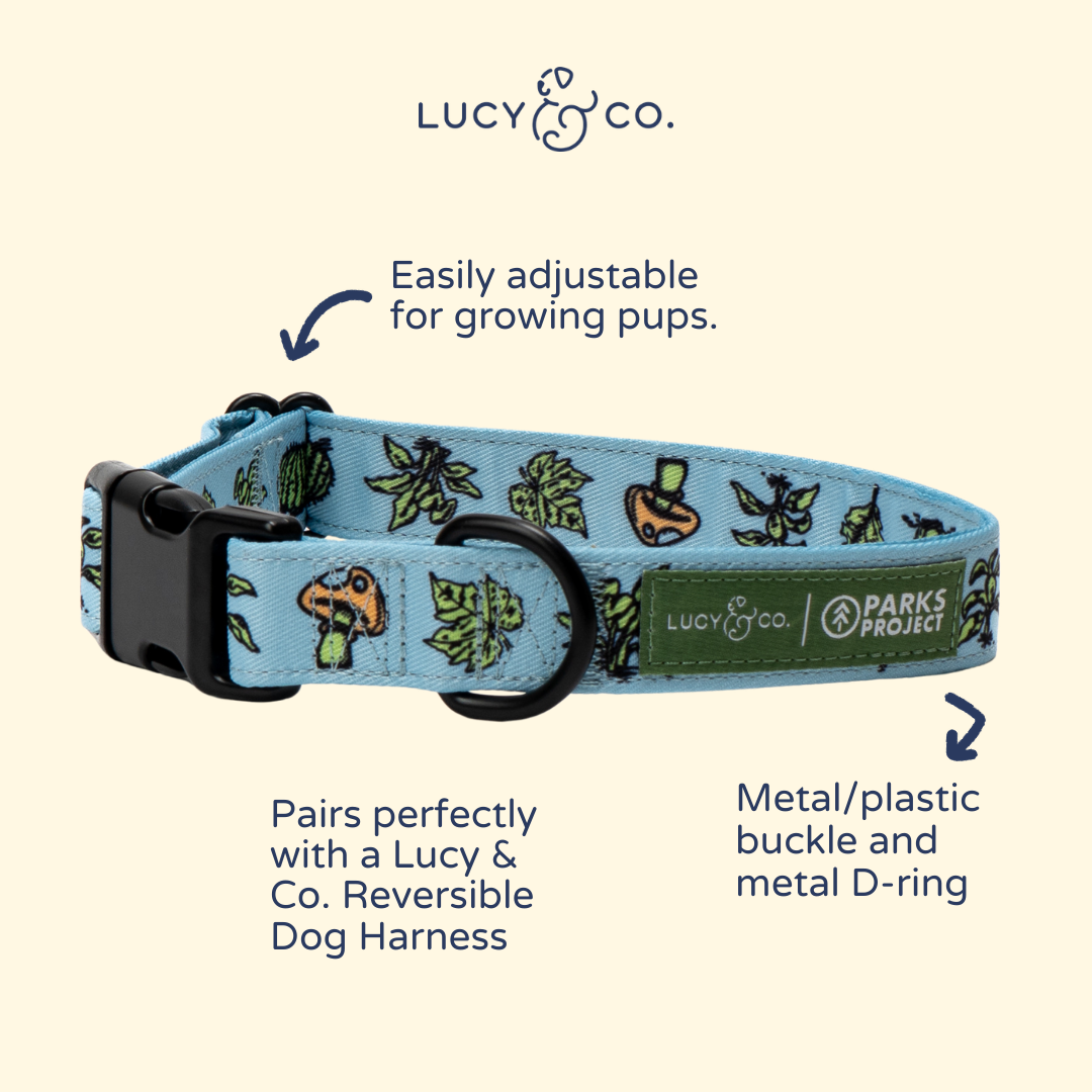 Lucy & Co. x Parks Project Feel the Earth Breathe Collar