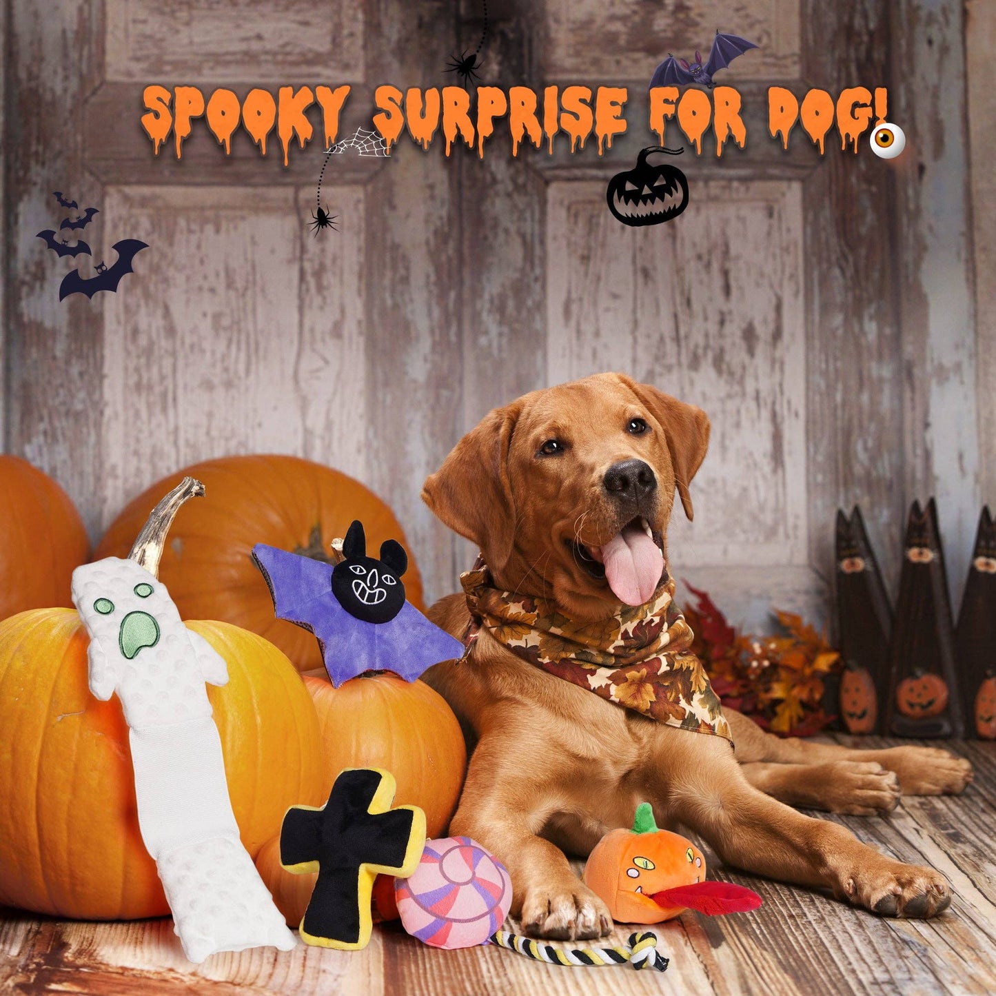 Nocciola 5 PCS Halloween Crinkle Dog Squeaky Toys