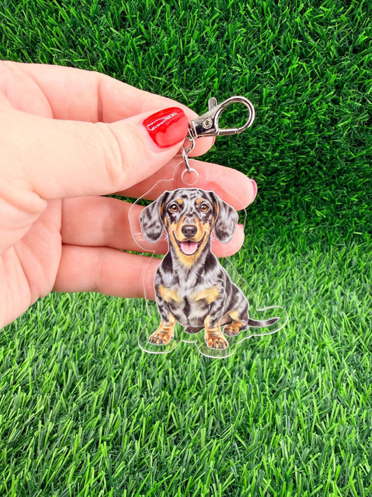Short Haired Dachshund Dapple Dog Breed Keychain