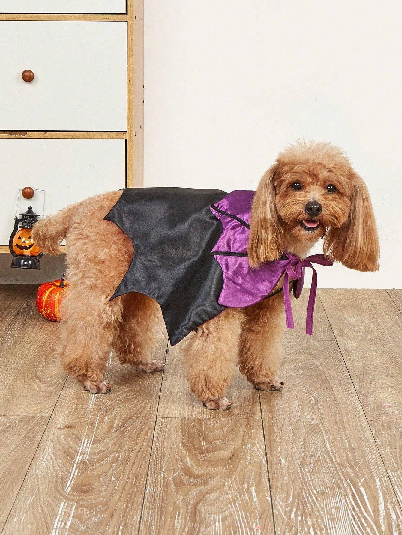 1pc Polyester Halloween Party Funny Cute Vampire Style Drawstring Costume Cape, Suitable For Pet Cats & Dogs (Not Suitable For Large Dogs)
