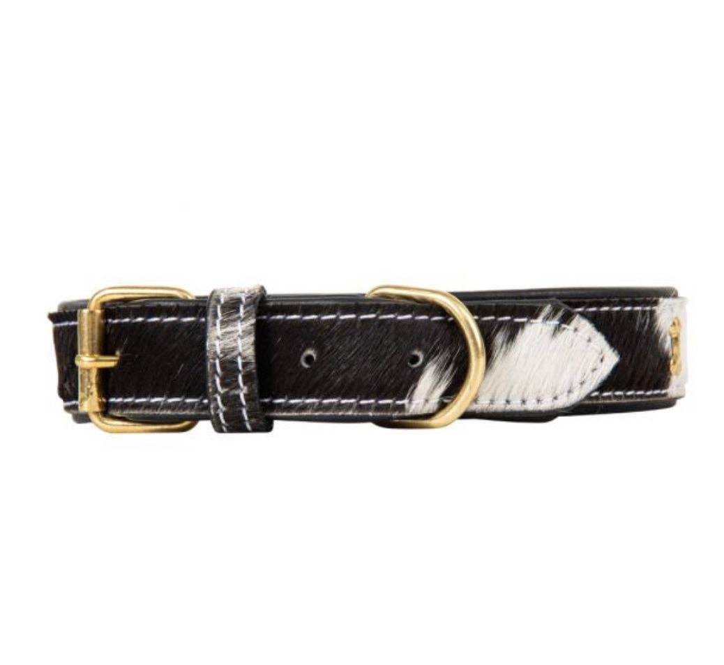 Cowhide and Leather Western Dog Collar