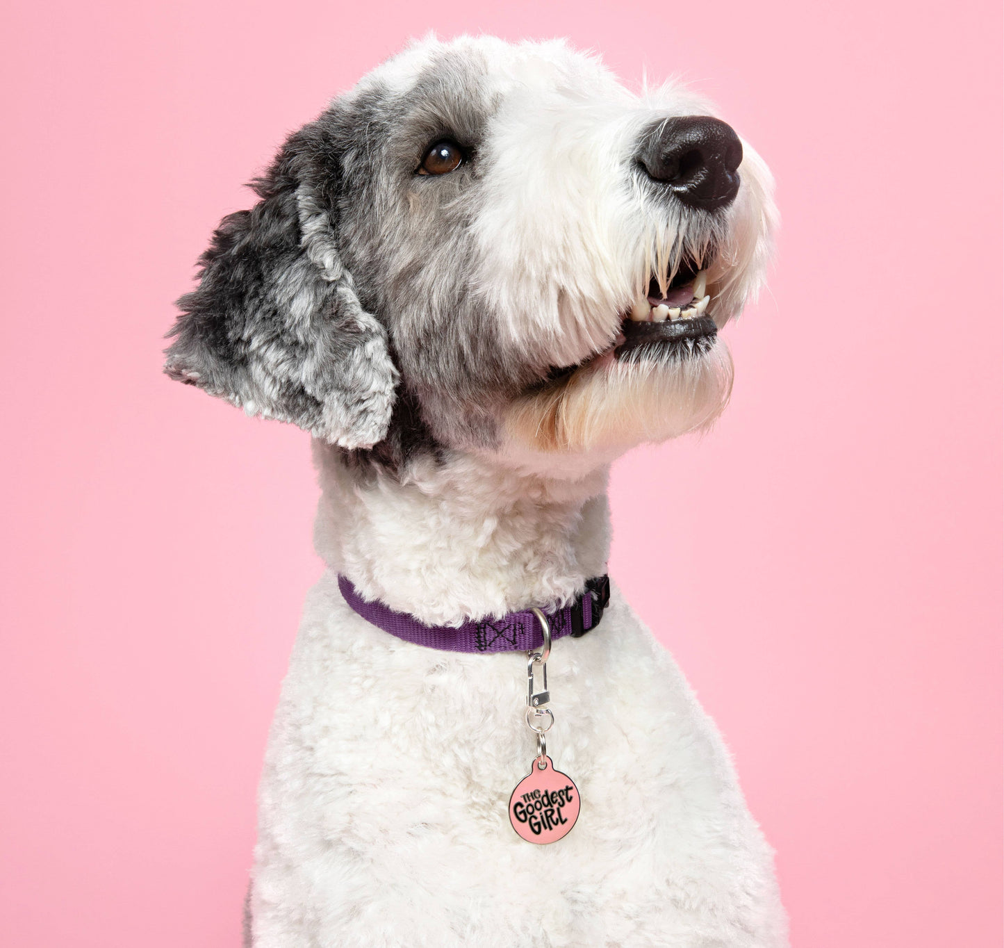 Dog Tag Collar Charm - The Goodest Girl - QR Code